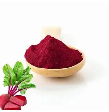 Fresh Beet Root Powder